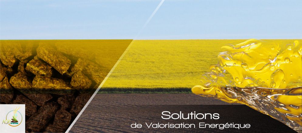 Agri Bio énergie à etreville, unité de méthanisation et Producteur de Bioénergies, enjeu majeur pour notre avenir.Agri-Bio-Energie vous associe à cette alternative positive :ensemble, protégeons l’environnement & préservons nos ressourcesunité de méthanisation . 