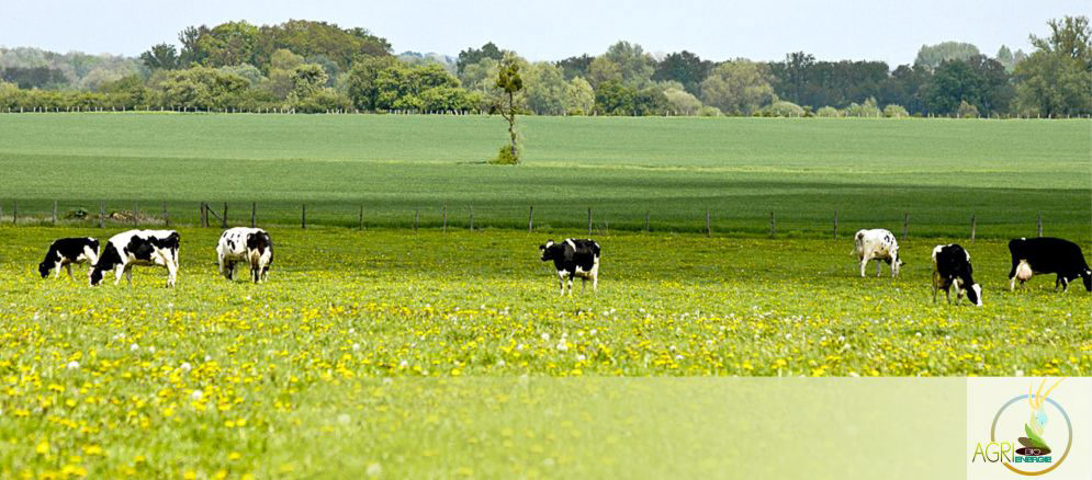 Agri  énergie à Etreville