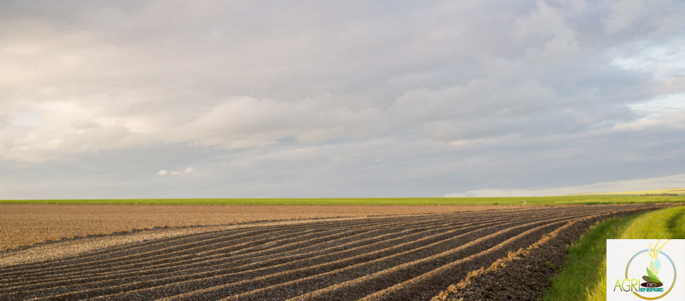 Agri énergie à etreville